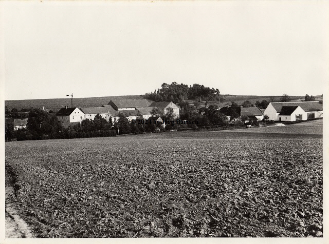 Blick auf Willwitz von Tarchwitz aus. Gut Barisch befindet sich auf der rechten Seite